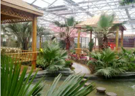 陜西生態(tài)餐廳