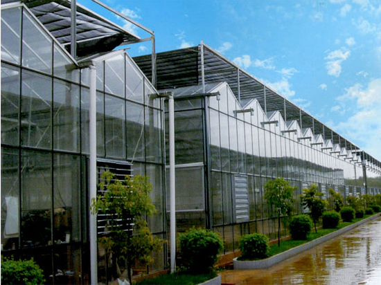 陜西溫室大棚生產(chǎn)廠家 陜西溫室大棚生產(chǎn)廠家