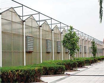 規(guī)模大，質(zhì)量好