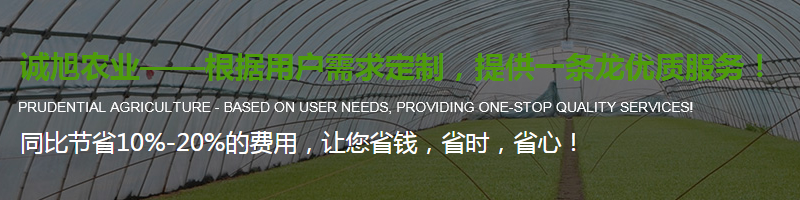 陜西溫室大棚設(shè)計(jì)安裝