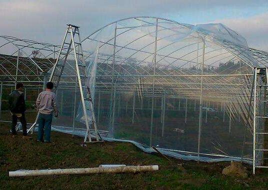 陜西溫室大棚哪家好 陜西溫室大棚哪家好