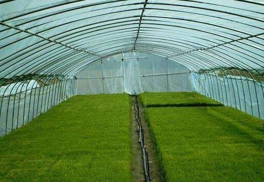 陜西溫室大棚價(jià)格 陜西溫室大棚價(jià)格